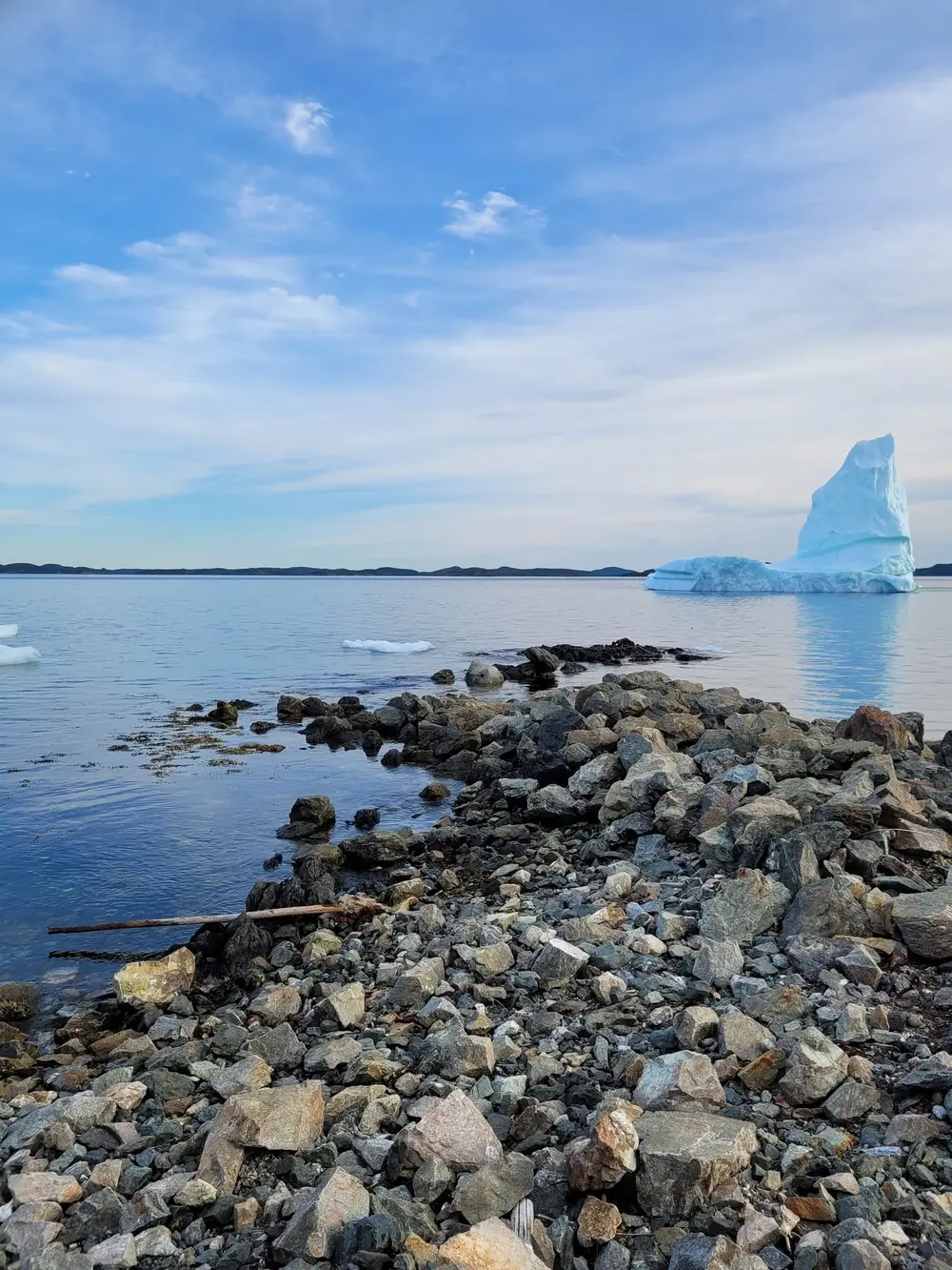 An iceberg beside a rocky shoreline, from the tea room's Facebook page